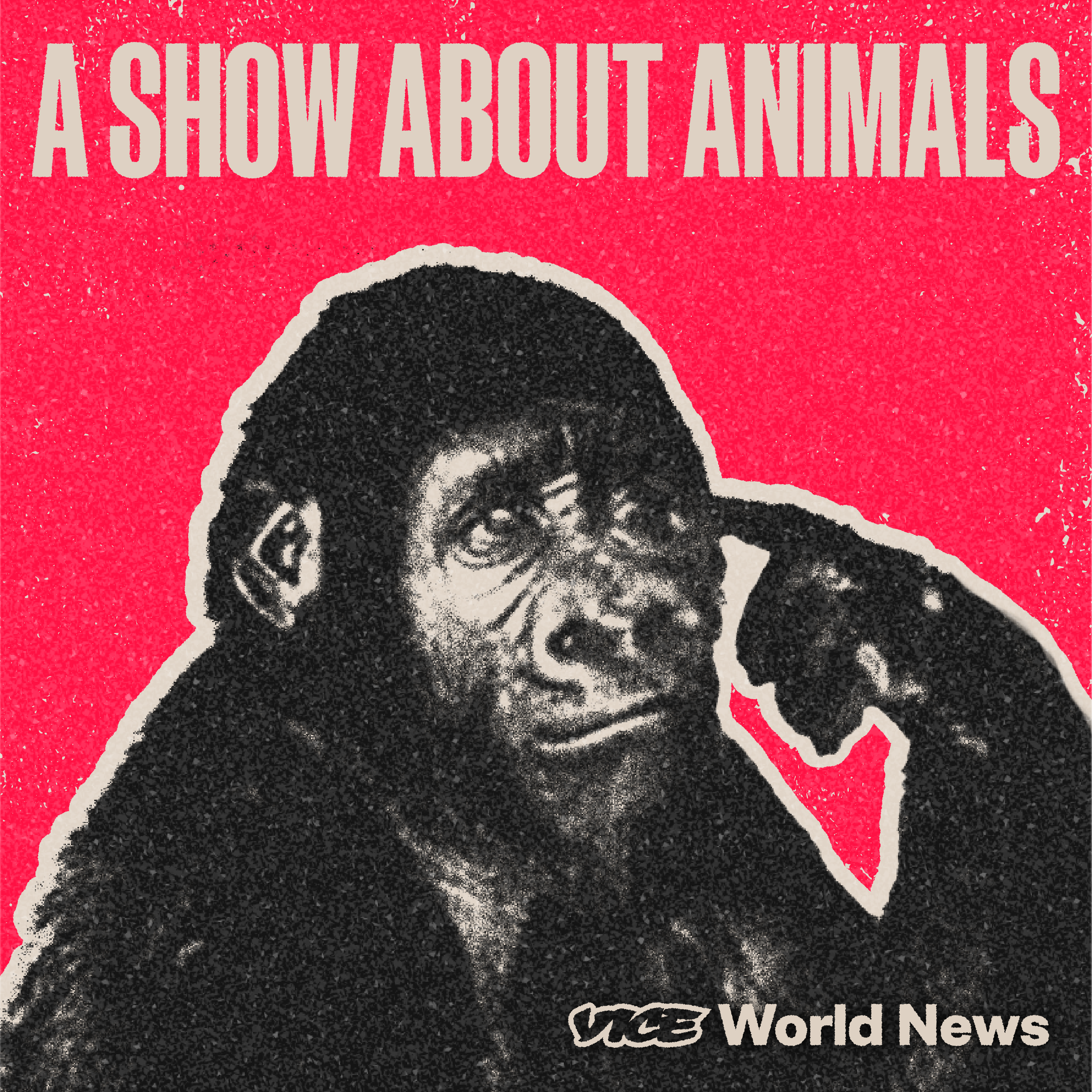 1635956261731 ashowaboutanimalscover 2H5pkS