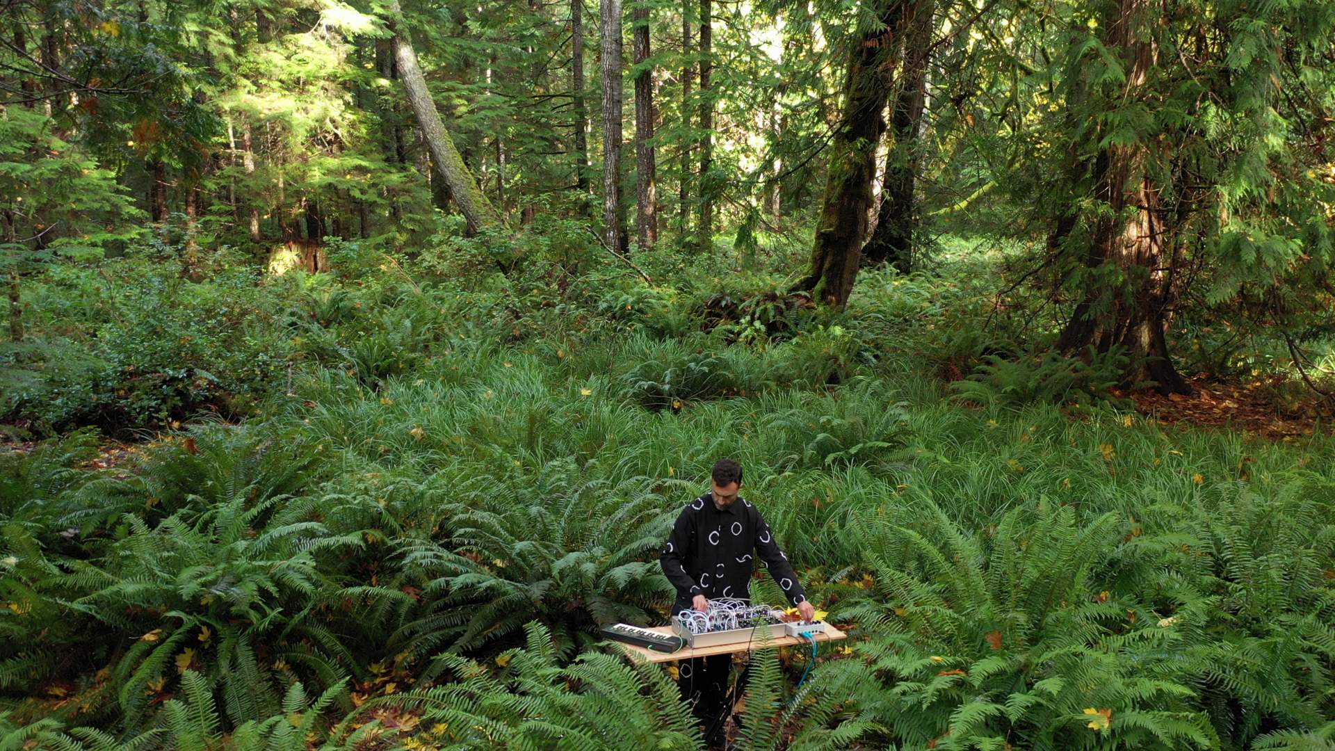 1641374793891 this guy makes music out of mushrooms and its a trip
