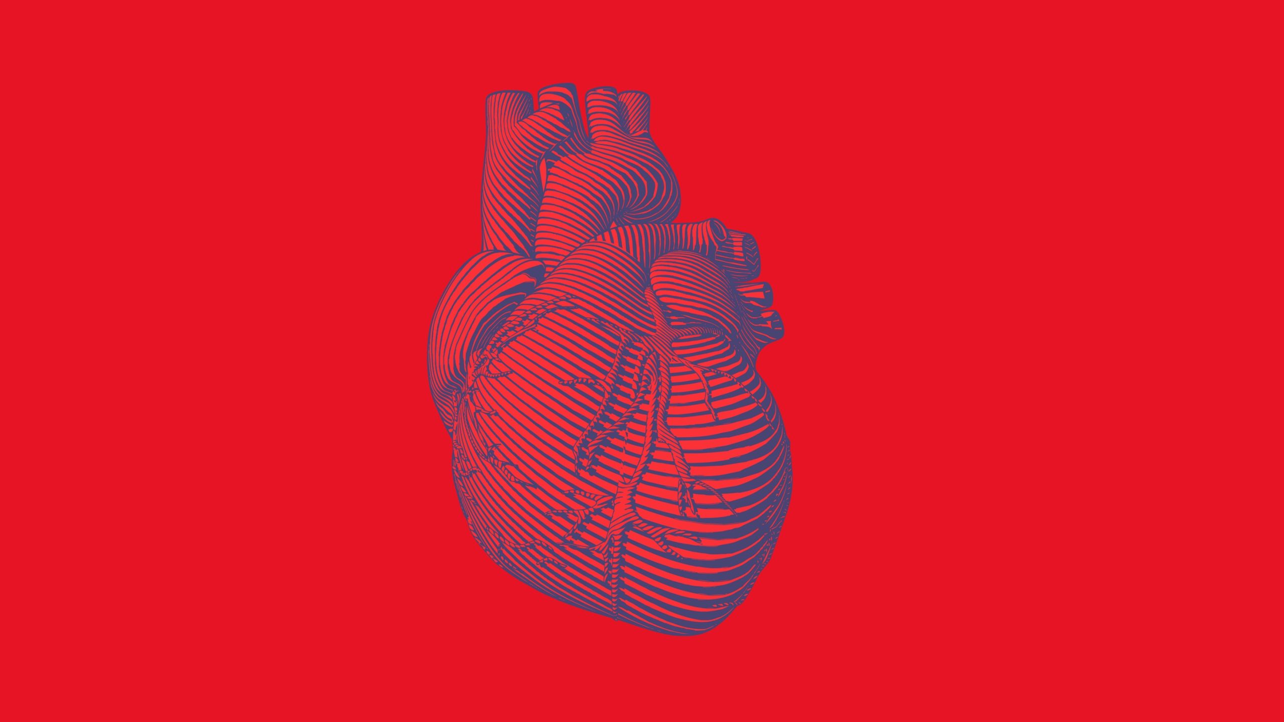 1648662073421 heart rectangle copy SS8Ij3 scaled