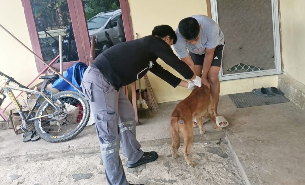 Kaltim Masuk Wilayah Rawan Rabies, Pemkot Bontang Gencarkan Vaksinasi Hewan Peliharaan