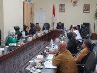 IMG 20241116 WA0035