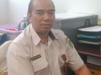 IMG 20241126 WA0200