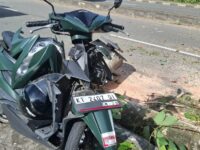 Pohon Tumbang di Jalan Eks Pupuk Raya Menimpa Dua Pengendara