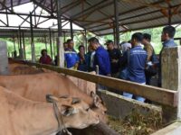 Pansus LKPJ DPRD Kaltim Tinjau Program PDKT Samboja, Dorong Pembentukan Koperasi Merah Putih