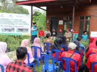 DHEN12901 copy 713x535