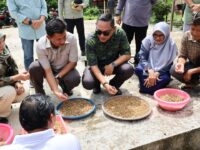 IMG 20250525 WA0017