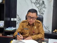 Kepala DPMPTSP Jelaskan Konsep Tentang Susun Strategi Insentif Penanaman Modal