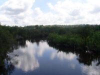 Sungai Wain, Balikpapan.