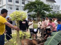 Sekretariat DPRD Kaltim laksanakan Kurban di Momentum Idul Adha 1446H. (Foto : Humas Sekretariat DPRD Kaltim)