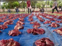 Tips Aman Konsumsi Daging Kurban, Simak Penjelasan Akademisi Unmul Ini