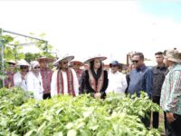 Genjot Program Optimalisasi Lahan, Kaltim Target Swasembada Pangan dalam 6 Bulan
