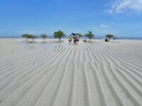 Pulau Segajah Bontang, Pulau Cantik yang 'Hilang' di Malam Hari