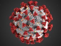 Gejala Mirip Flu Berat, Varian Baru COVID-19 yang Muncul di Samarinda