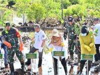 TNI Tanam Mangrove di Pesisir Bontang: Rayakan HUT Kodam VI/Mulawarman dengan Aksi Nyata