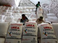 Kelangkaan pupuk subsidi cekik  petani.