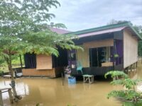 Banjir Rendam Tiga Desa di Kutai Timur, Warga Diminta Waspada Predator Air!
