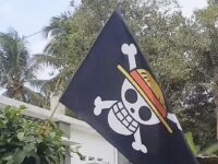 Bendera One Piece Marak Berkibar Jelang 17 Agustus, Apakah Dilarang?