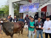 Dinas PU Kukar Sembelih 7 Sapi Kurban, Tebar Manfaat Idul Adha untuk Pegawai dan Warga