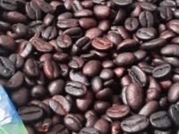 Sertifikasi IG, Kopi Arabika Seko Siap Mendunia dari Lereng Luwu Utara