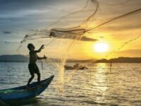 Ilustrasi nelayan menangkap ikan (dok; ist)