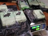 Barang bukti sabu yang diselundupkan di perbatasan Nunukan (dok: TNI)