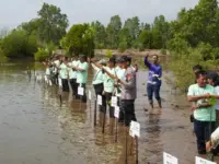 penanaman 4.000 pohon mangrove di Pantai Teluk Lingga, Sangatta Utara.