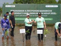 penanaman pohon mangrove di Pantai Marang, Kaliorang,