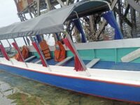 Ketinting di Kampung Tihi-Tihi (dok: Labib/expresi)