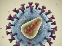 Ilustrasi virus HIV (dok: istimewa)