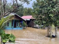 Kondisi banjir saat ini di Muara Wahau (Dok: BPBD Kutim)