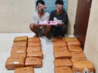 Tersangka pengedar ganja (dok: Humas Polres Aceh Tenggara)