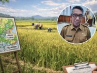 Bupati Kutim, Ardiansyah Sulaiman dan Ilustrasi lahan persawahan.(Dok: tio/expresi)