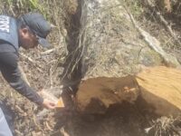 Polsek Bengalon melakukan identifikasi di lokasi kecelakaan kerja yang menewaskan seorang petani saat menebang pohon di Desa Tepian Langsat, Kecamatan Bengalon. (Dok: istimewa)