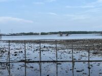 Kawasan pesisir Kaltim (dok: Expresi)