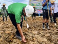 Penanaman jagung serentak di Busang dimulai, targetkan 20 hektare lahan untuk dorong ketahanan pangan. (Dok: istimewa)