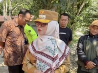 Wali Kota Bontang, Neni Moerniaeni (dok: ist)