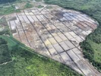 Dari udara: perluasan sawah di Kutim jadi strategi jaga stabilitas pangan.(Dok: istimewa)