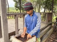 Sabil menunjukkan sarang lebah kelulut yang ia kelola di kebun miliknya di Kecamatan Sangatta Selatan.(Dok: tio/expresi)