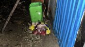 Penemuan Bayi di Balikpapan (dok: ist)
