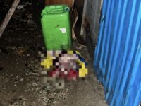 Penemuan Bayi di Balikpapan (dok: ist)