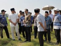 Kunjungan Direktur Jenderal Sains dan Teknologi Kementerian Pendidikan Tinggi, Sains, dan Teknologi (Kemdiktisaintek), Ahmad Najib Burhani, ke calon lokasi pembangunan SMA Unggul Garuda di Desa Marga Catur, Kecamatan Kalianda, Kabupaten Lampung Selatan, Jumat (10/7/2026) (dok: expresi)
